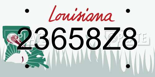 23658Z8 Louisiana License Plate