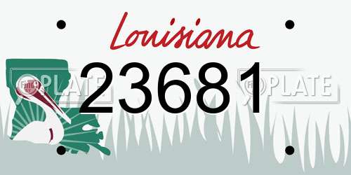 23681 Louisiana License Plate