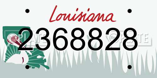 2368828 Louisiana License Plate