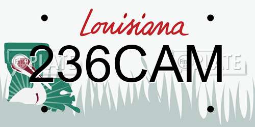 236CAM Louisiana License Plate