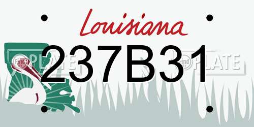237B31 Louisiana License Plate