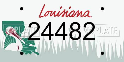 24482 Louisiana License Plate
