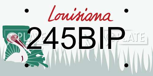 245BIP Louisiana License Plate