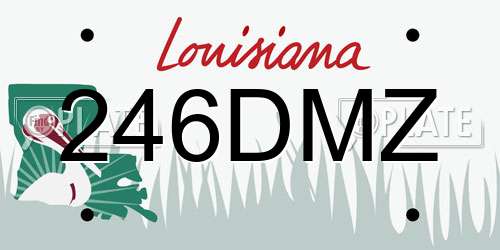 246DMZ Louisiana License Plate