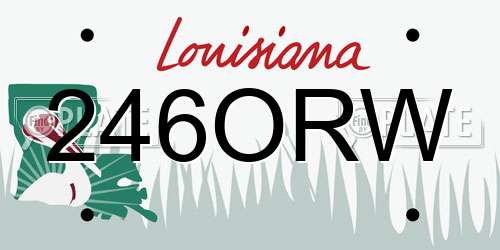 246ORW Louisiana License Plate