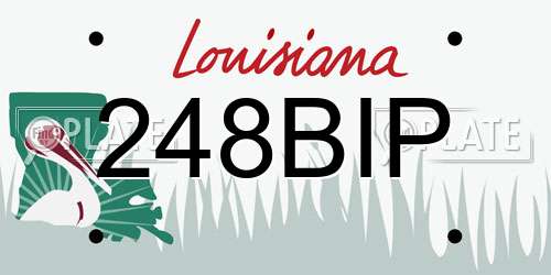 248BIP Louisiana License Plate