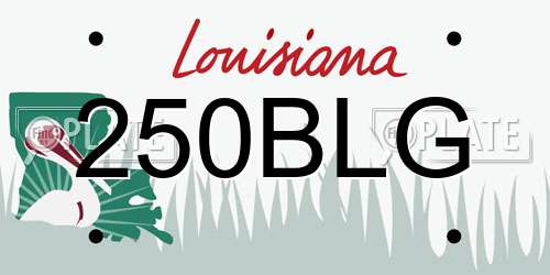 250BLG Louisiana License Plate