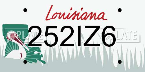 252IZ6 Louisiana License Plate