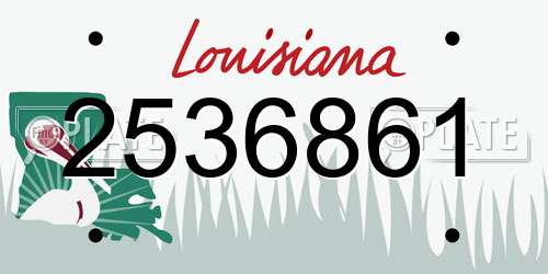 2536861 Louisiana License Plate