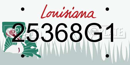25368G1 Louisiana License Plate