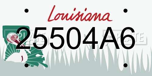 25504A6 Louisiana License Plate