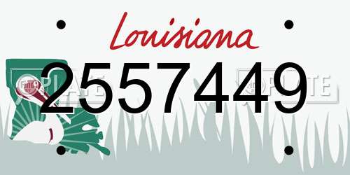 2557449 Louisiana License Plate