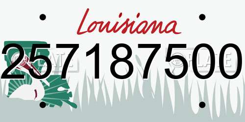 257187500 Louisiana License Plate