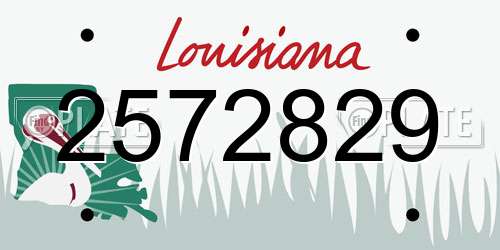 2572829 Louisiana License Plate