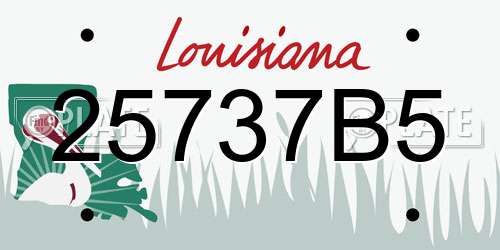 25737B5 Louisiana License Plate