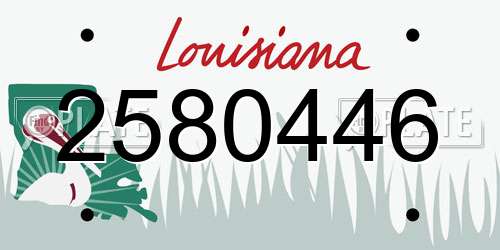 2580446 Louisiana License Plate