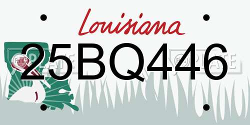 25BQ446 Louisiana License Plate