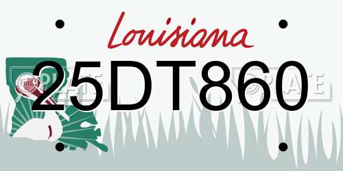 25DT860 Louisiana License Plate