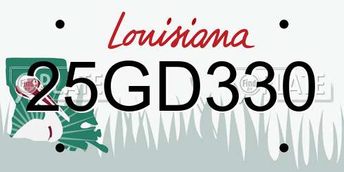 25GD330 Louisiana License Plate