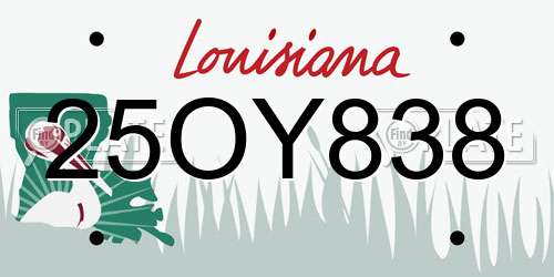 25OY838 Louisiana License Plate