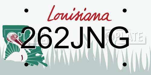 262JNG Louisiana License Plate