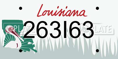 263I63 Louisiana License Plate