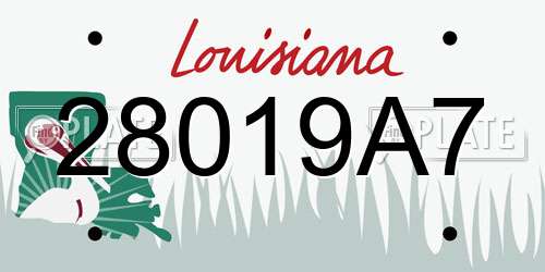 28019A7 Louisiana License Plate