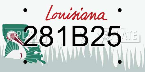 281B25 Louisiana License Plate