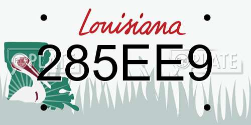 285EE9 Louisiana License Plate