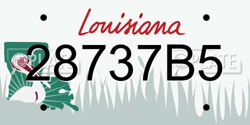 28737B5 Louisiana License Plate
