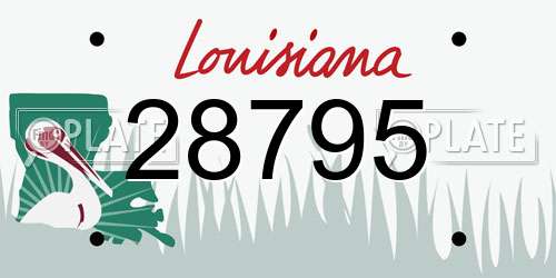 28795 Louisiana License Plate