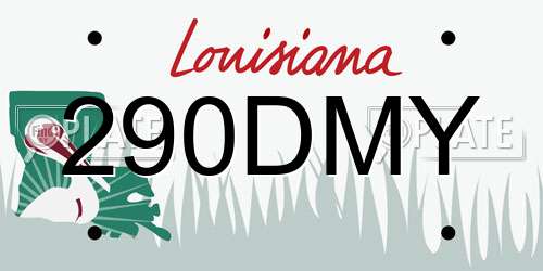 290DMY Louisiana License Plate