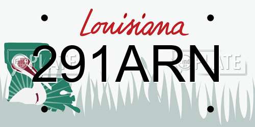 291ARN Louisiana License Plate