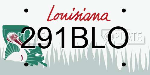 291BLO Louisiana License Plate
