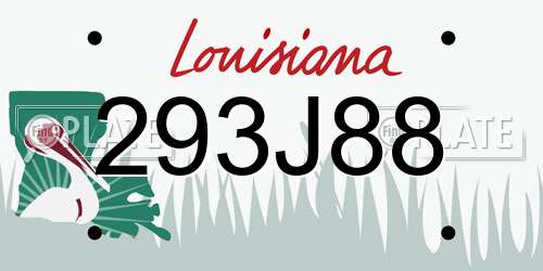 293J88 Louisiana License Plate