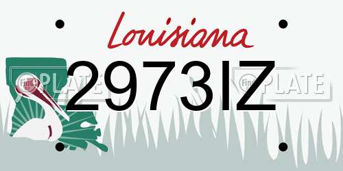2973IZ Louisiana License Plate