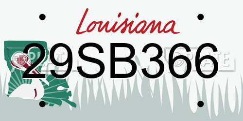 29SB366 Louisiana License Plate