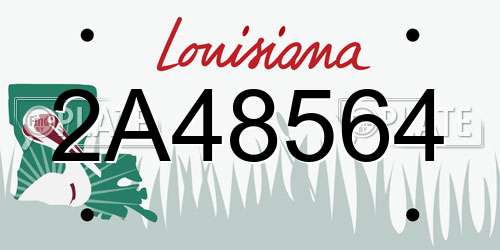 2A48564 Louisiana License Plate