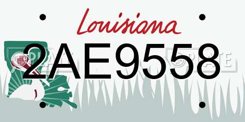 2AE9558 Louisiana License Plate