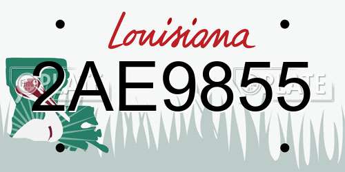 2AE9855 Louisiana License Plate