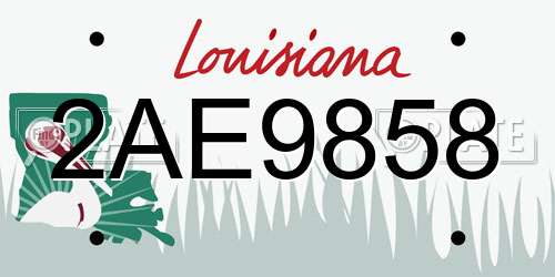 2AE9858 Louisiana License Plate