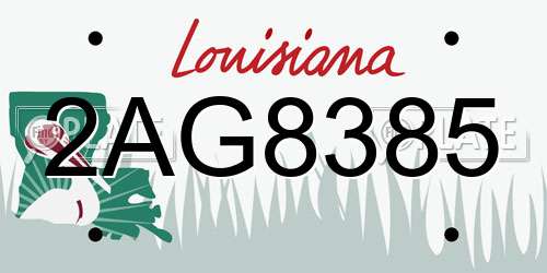 2AG8385 Louisiana License Plate