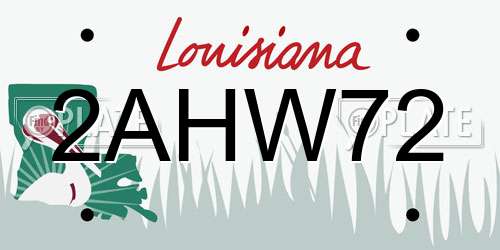 2AHW72 Louisiana License Plate