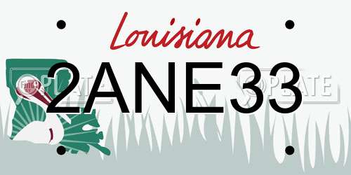 2ANE33 Louisiana License Plate