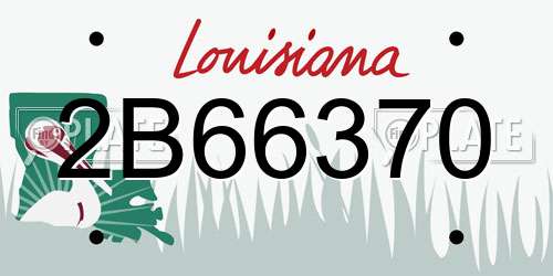 2B66370 Louisiana License Plate