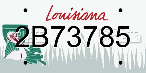 2B73785 Louisiana License Plate