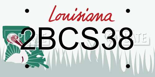 2BCS38 Louisiana License Plate