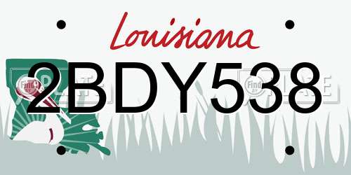 2BDY538 Louisiana License Plate