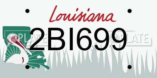 2BI699 Louisiana License Plate