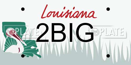 2BIG Louisiana License Plate